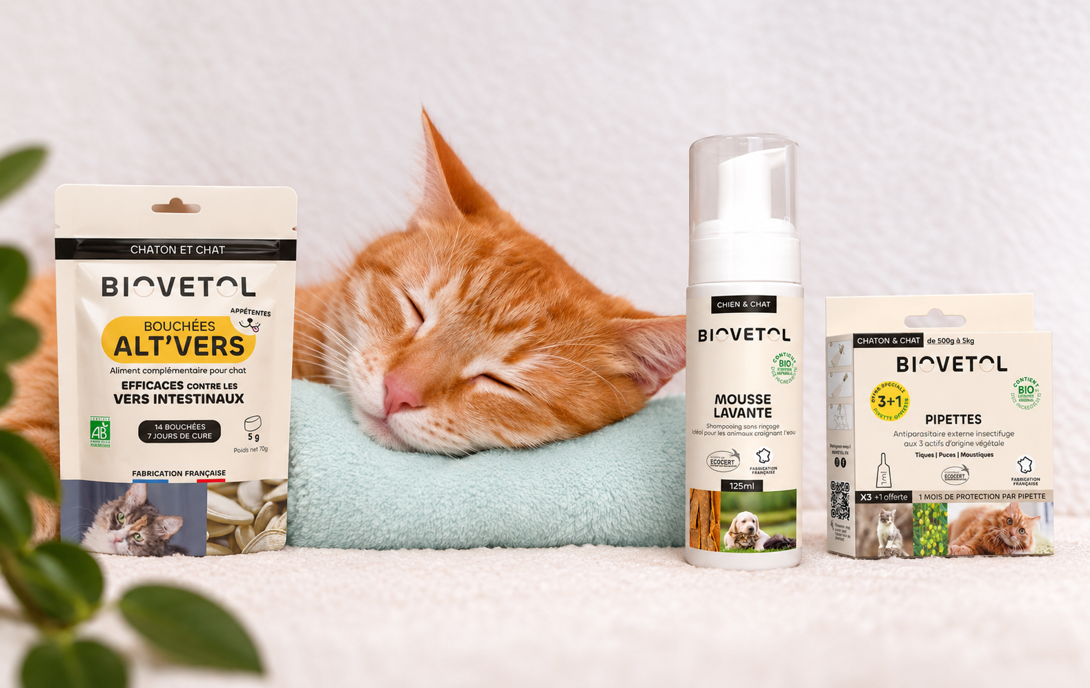 Produits et soins pour chat Biovetol